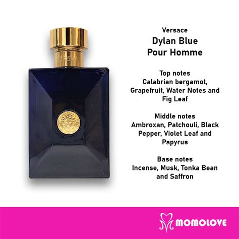 versace light blue notes|versace dylan blue priceline.